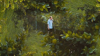 Painting with John Season 2 Episode 4