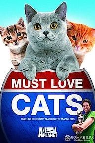 Must Love Cats