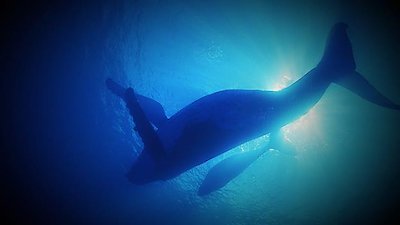 The Proof Is Out There Season 1 Episode 5