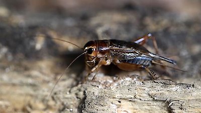 The Proof Is Out There Season 2 Episode 2