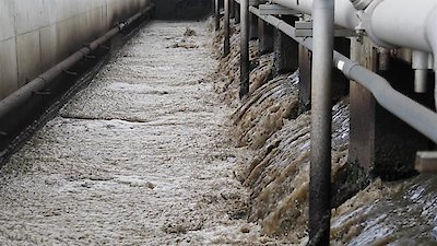 The Proof Is Out There Season 2 Episode 4