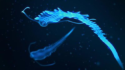 The Proof Is Out There Season 2 Episode 10