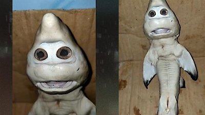 The Proof Is Out There Season 2 Episode 17