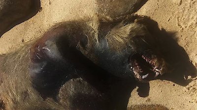 The Proof Is Out There Season 2 Episode 18