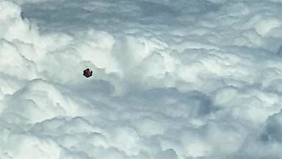 The Proof Is Out There Season 2 Episode 24