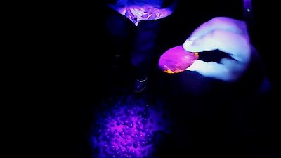 The Proof Is Out There Season 2 Episode 31