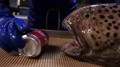 The Proof Is Out There Season 3 Episode 15