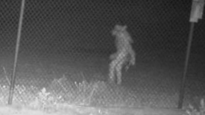 The Proof Is Out There Season 3 Episode 17