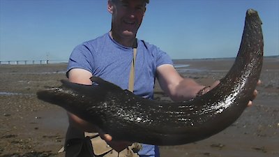 The Proof Is Out There Season 4 Episode 2