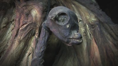 The Proof Is Out There Season 4 Episode 6