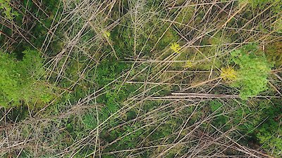 The Proof Is Out There Season 4 Episode 10