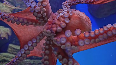 The Proof Is Out There Season 5 Episode 1