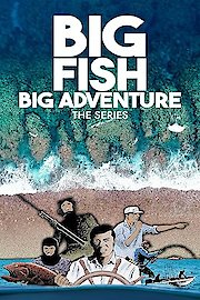 Big Fish Big Adventure