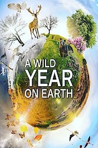 A Wild Year On Earth