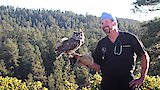 Tundra, Teeth and Talons