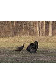 Team Radical Turkey Hunting