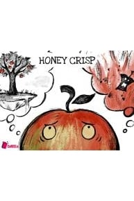 Honey Crisp