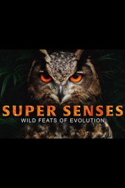 Super Senses: Wild Feats of Evolution