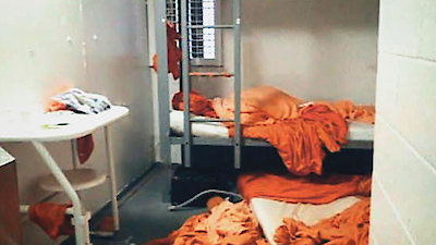 Watch Who Killed Jeffrey Epstein? Season 1 Episode 3 - Suicide or