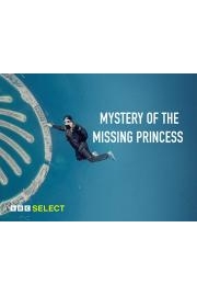 Mystery of the Missing Princess