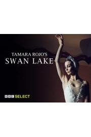 Tamara Rojo's Swan Lake