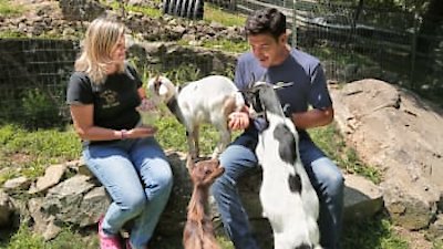 Farmhouse Fixer Season 1 Episode 2