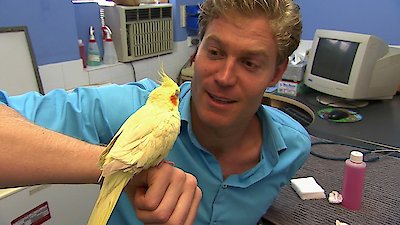 Bondi Vet Season 2 Episode 14
