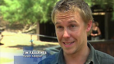 Bondi Vet Season 2 Episode 15