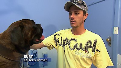 Bondi Vet Season 2 Episode 8