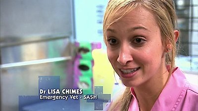 Bondi Vet Season 4 Episode 16