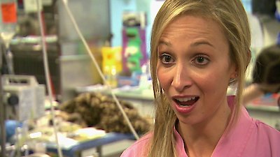 Bondi Vet Season 4 Episode 11