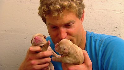 Bondi Vet Season 4 Episode 12