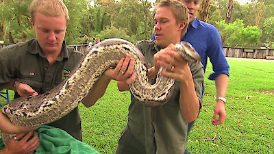 Bondi Vet Season 4 Episode 10