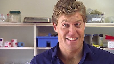 Bondi Vet Season 4 Episode 2