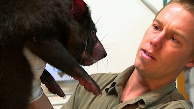 Bondi Vet Season 1 Episode 10
