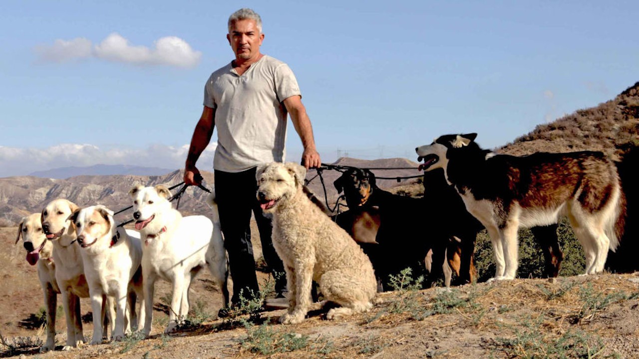 Cesar Millan: The Real Story