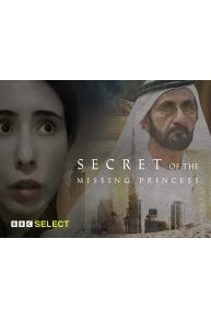 Secret of the Missing Princess