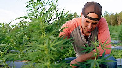 Kings of Kush Season 1 Episode 6