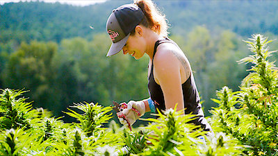 Kings of Kush Season 1 Episode 7