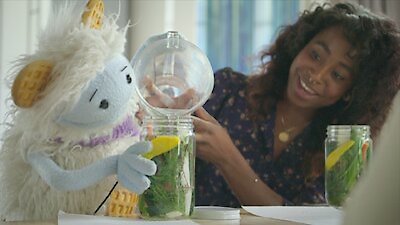 Waffles + Mochi Season 1 Episode 4