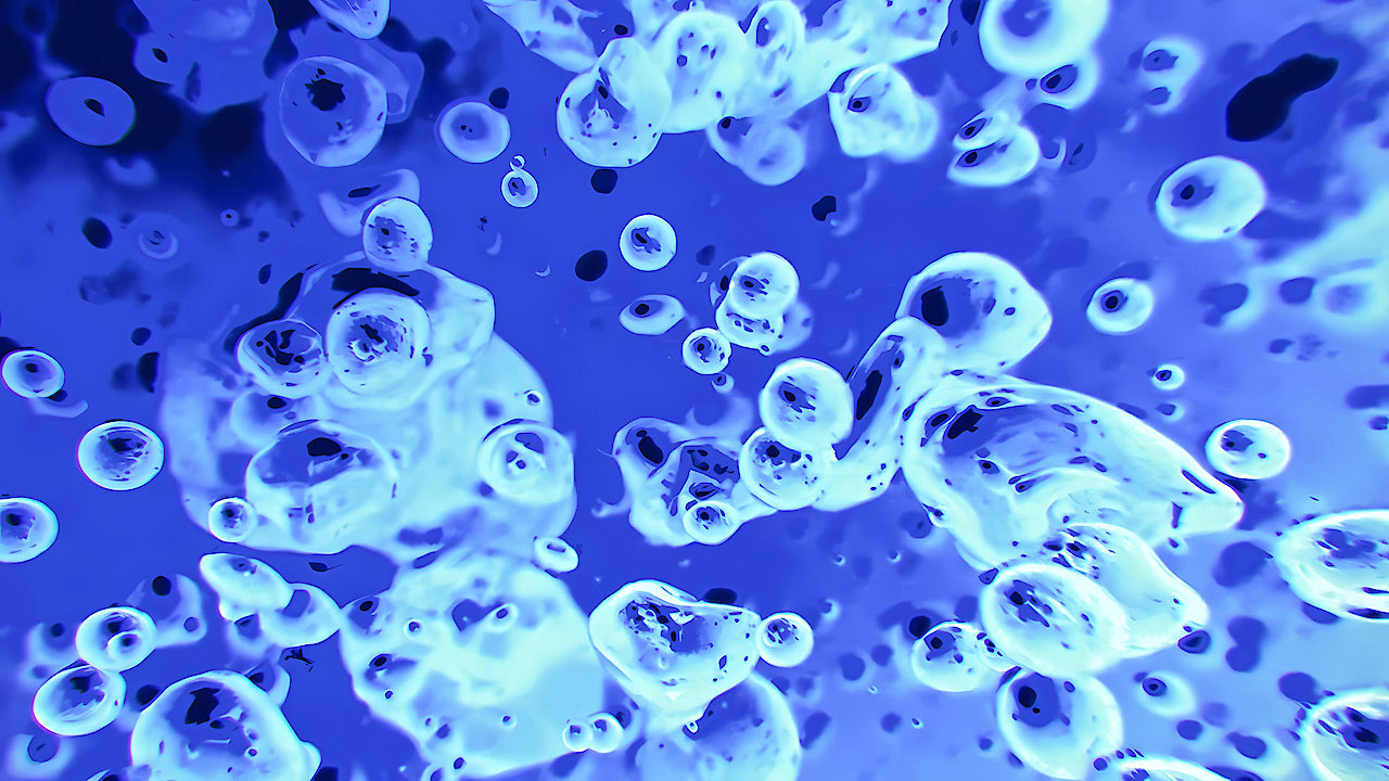 MTV's Liquid Television