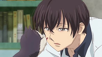 My Roommate Is a Cat Season 1 Episode 3