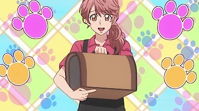 My Roommate Is a Cat Season 1 Episode 4