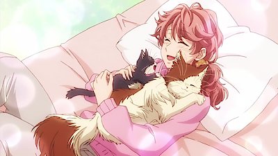 My Roommate Is a Cat Season 1 Episode 5