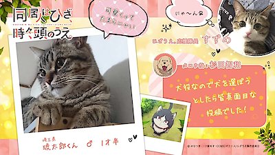 My Roommate Is a Cat Season 1 Episode 9