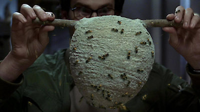 Nightmares & Dreamscapes Season 1 Episode 4