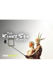 The Kinky Sex Survey