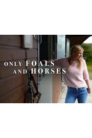 Only Foals and Horses