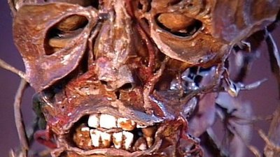 Ripley's Believe It or Not! Season 1 Episode 9