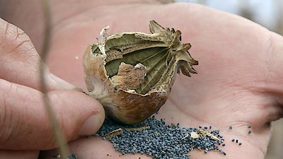 The Crime of the Century Season 1 Episode 2